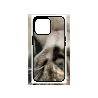 Custom Phone Case (Upload Picture/s)