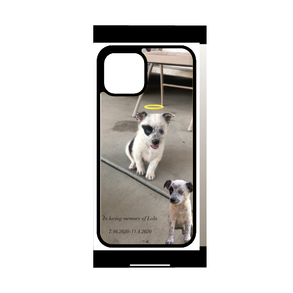 Custom Phone Case (Upload Picture/s)