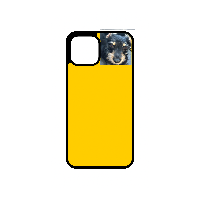 Custom Phone Case (Upload Picture/s)